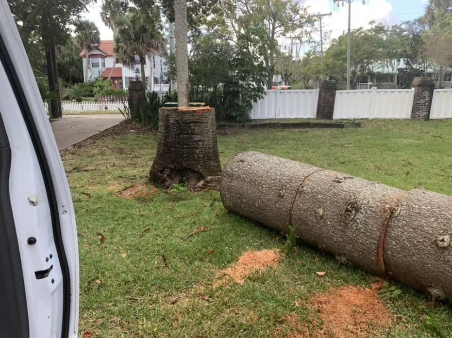 Cut tree trunk and log on grass beside a white fence and parked vehicle door