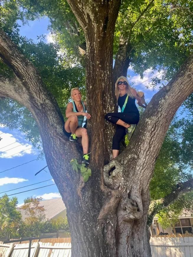 Two people sitting in a large tree, smiling outdoors in bright sunlight.