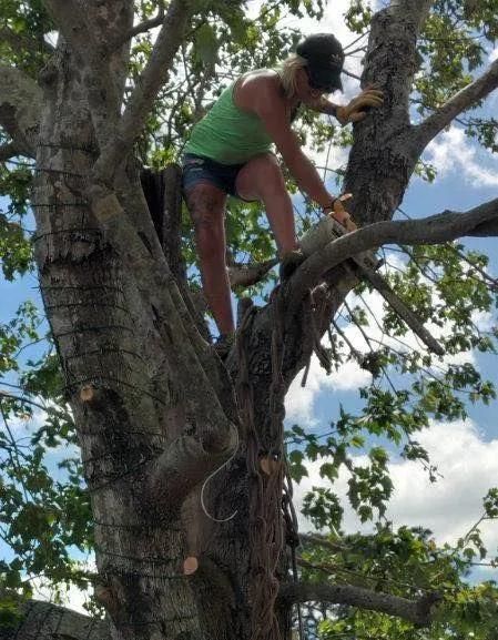 Person climbing a tree wearing a green tank top and shorts against a blue sky.