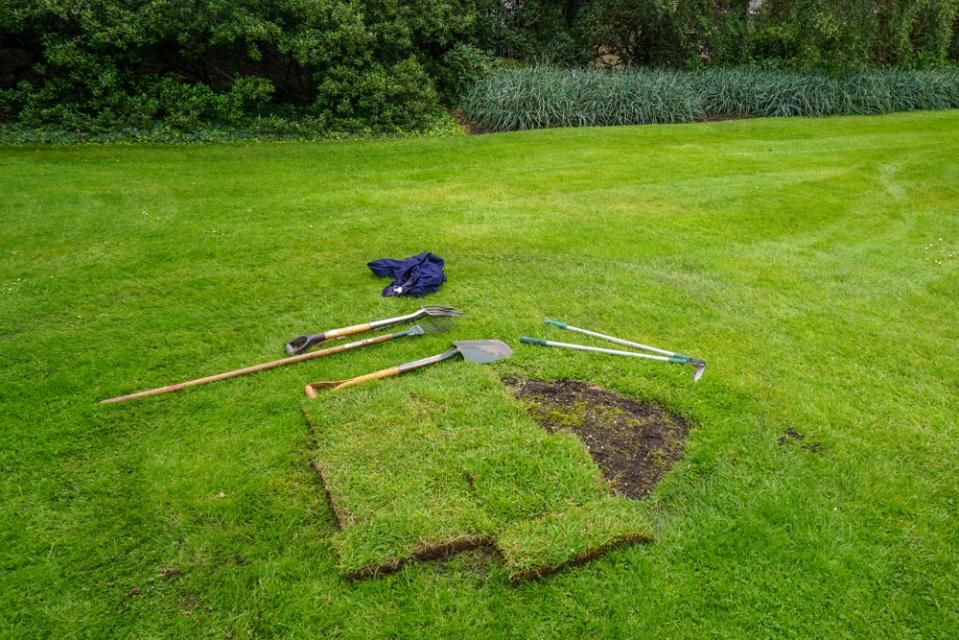Lawn tools beside a cut-out patch of sod on a green lawn, with a blue bag and hedge in the background