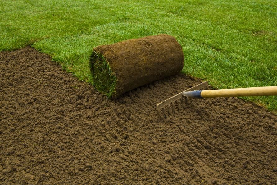 A rolled strip of turf being laid over brown soil with a rake on a grassy lawn.