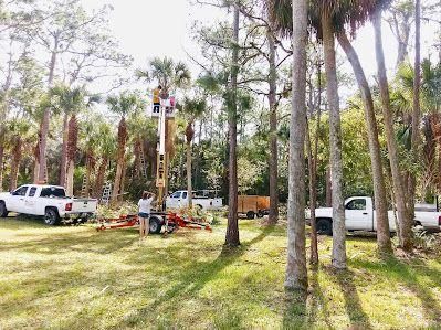 Park with tall trees, parked white trucks, and people gathered near a colorful playground pole.