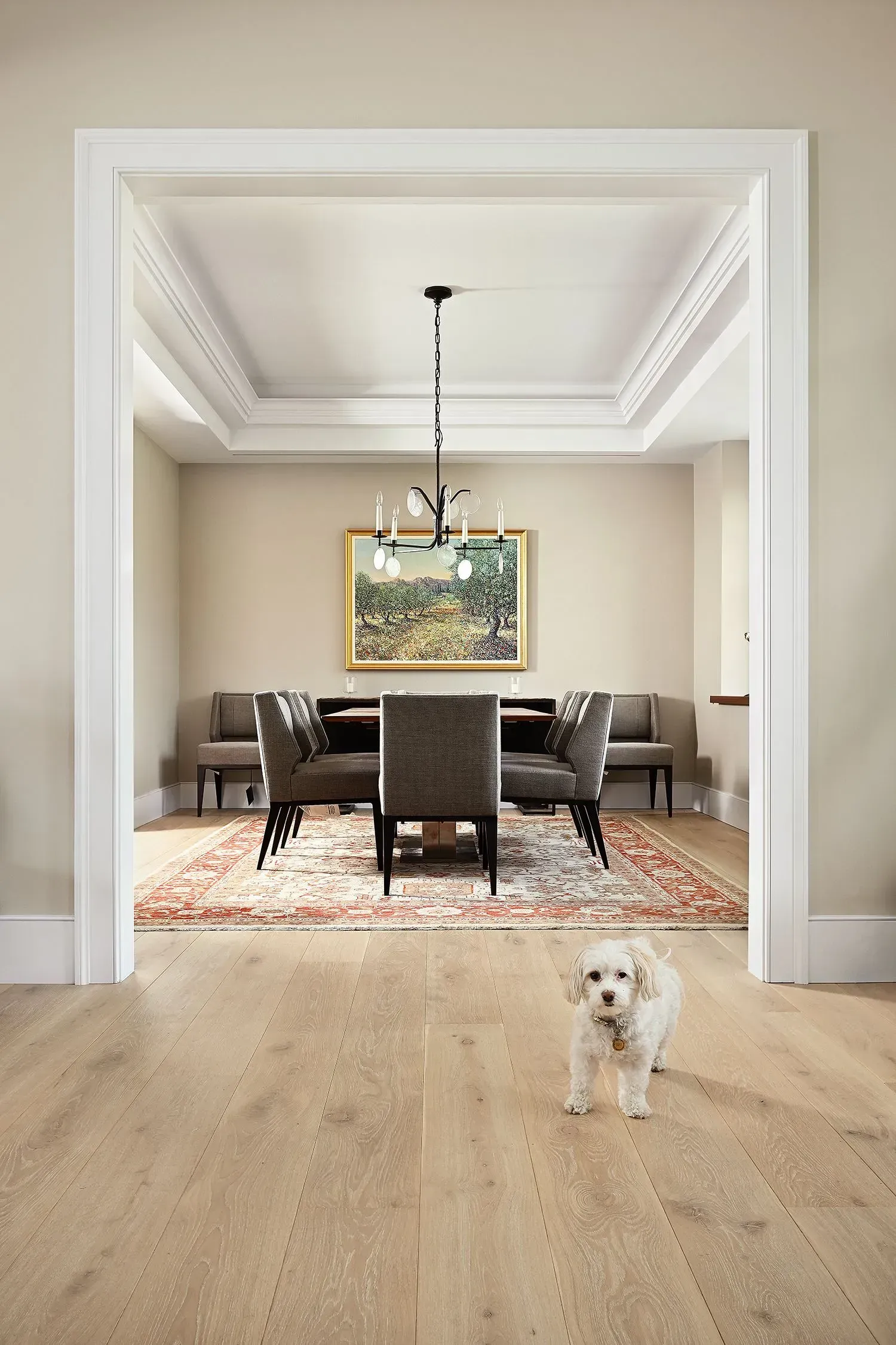 Dog stands in front of a dining room with a rug, table, chairs, and a chandelier.