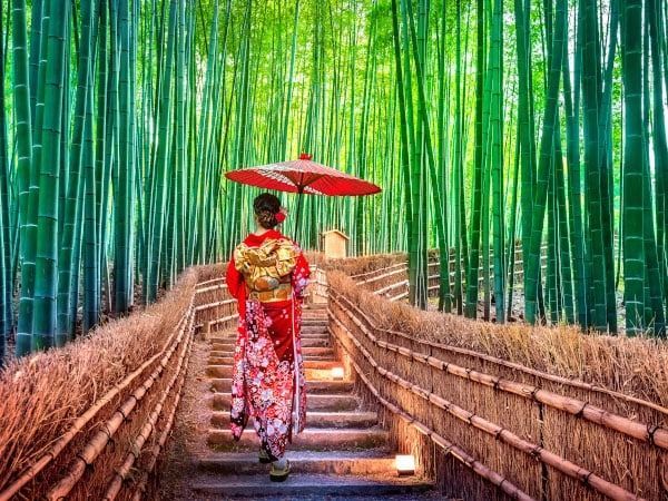 Una persona con un  kimono rosso a fiori e un ombrello rosso sale le scale attraverso una rigogliosa foresta di bambù.