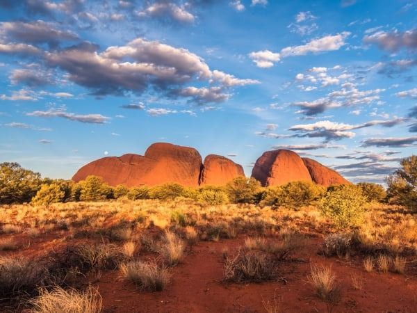 Le cupole rocciose dei Kata Tjuta (gli Olgas) si ergono sopra la vegetazione rossa del deserto sotto un cielo azzurro
