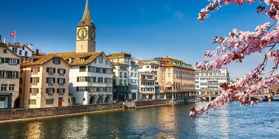 Una vista di Zurigo, con il campanile della chiesa di San Pietro, gli edifici storici lungo il fiume e i ciliegi in fiore.