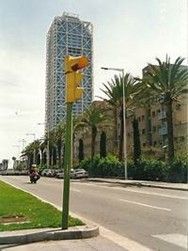 Semáforo en poste verde, con un edificio alto y moderno al fondo. Palmeras y carretera.