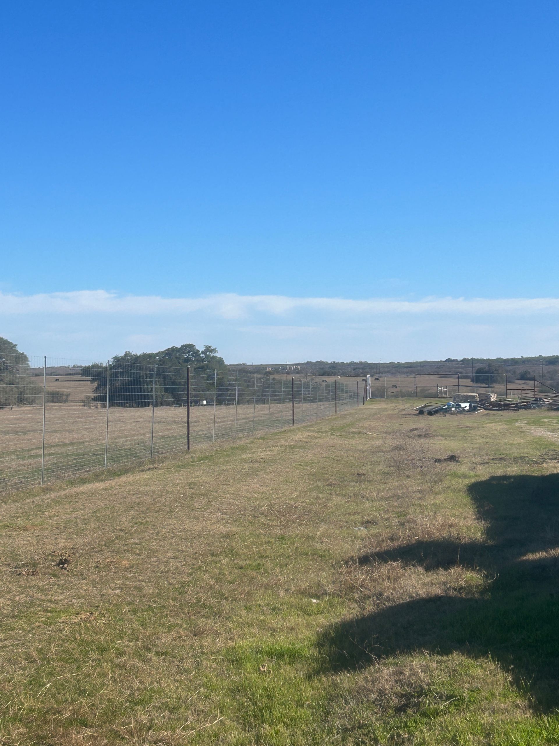 Open grassy field under a clear blue sky with fencing and distant trees