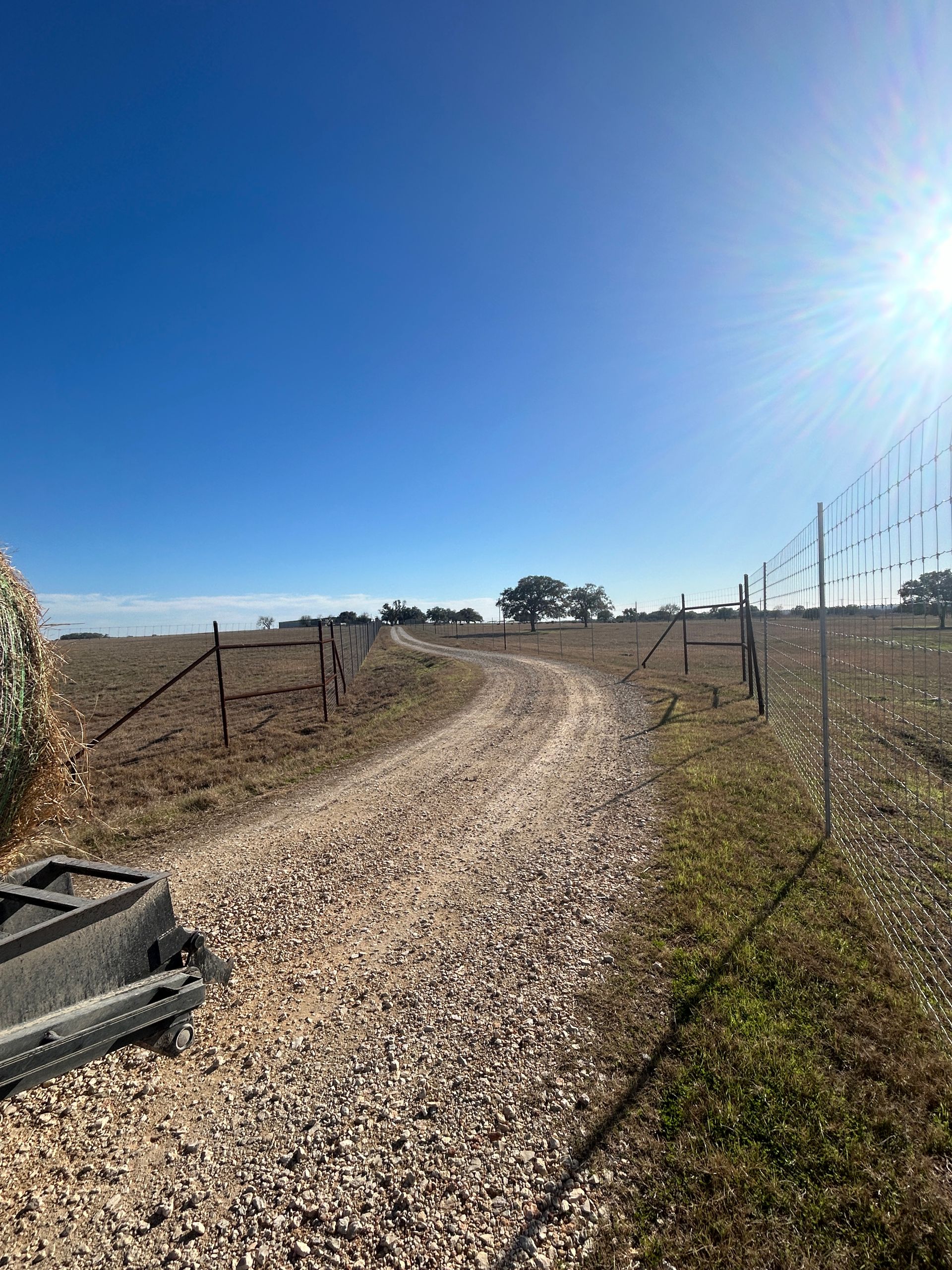 Gravel path curving through a sunny vineyard under a clear blue sky