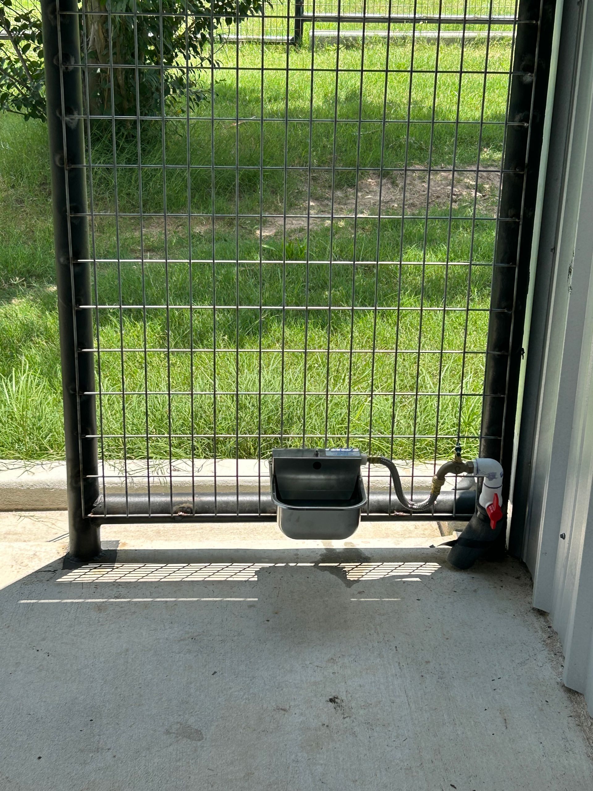 Metal gate opening to a grassy yard, with a small black pet bowl on the concrete floor.