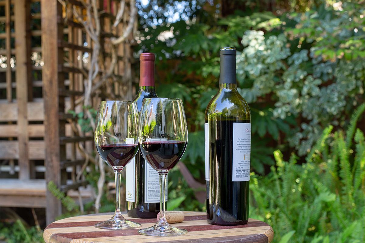 Two wine glasses and two bottles of red wine on a wooden table outdoors, with greenery in the background.