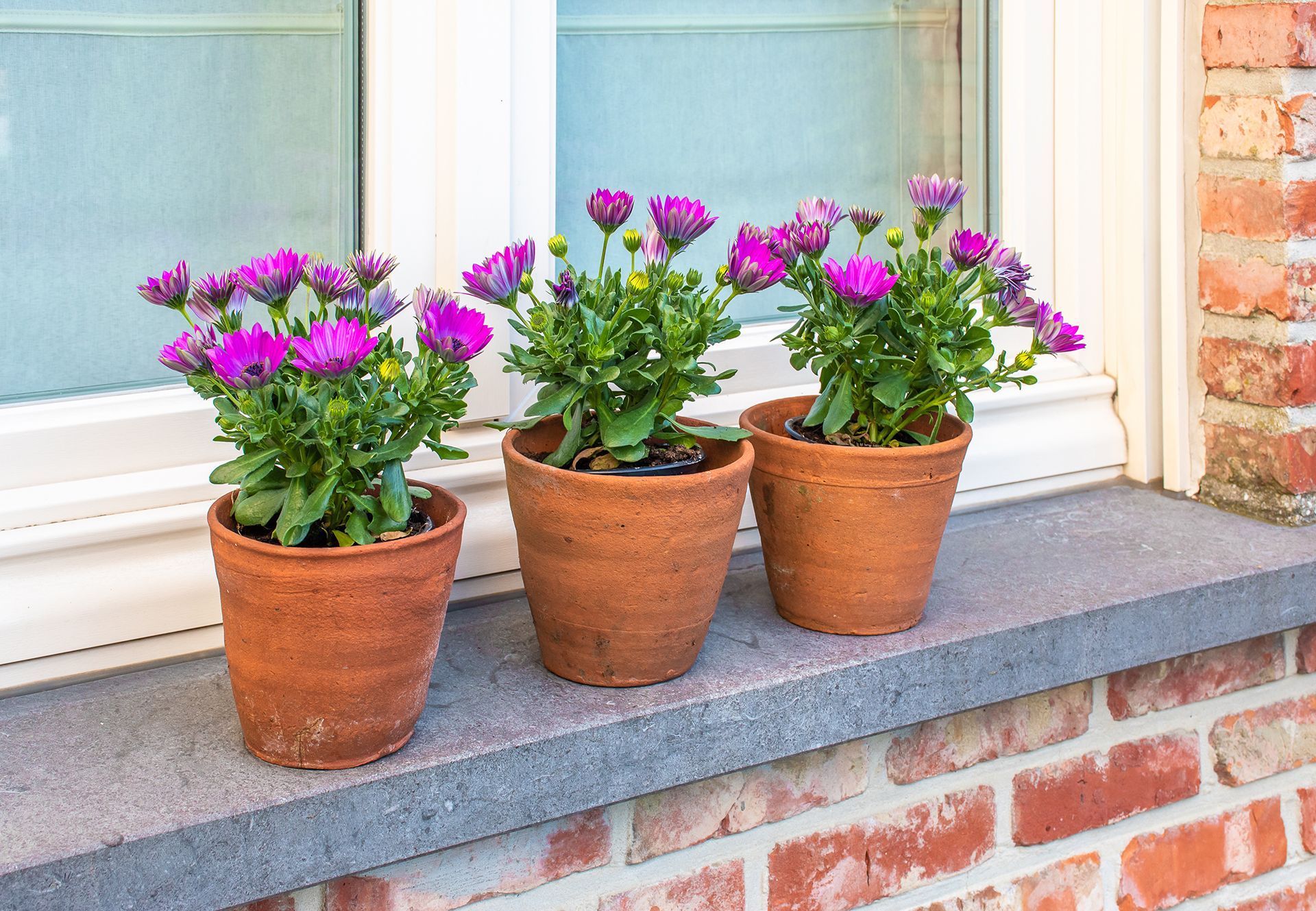 Exterior Landscaping Stone