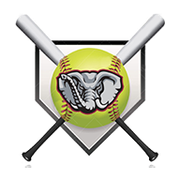 Logo for league