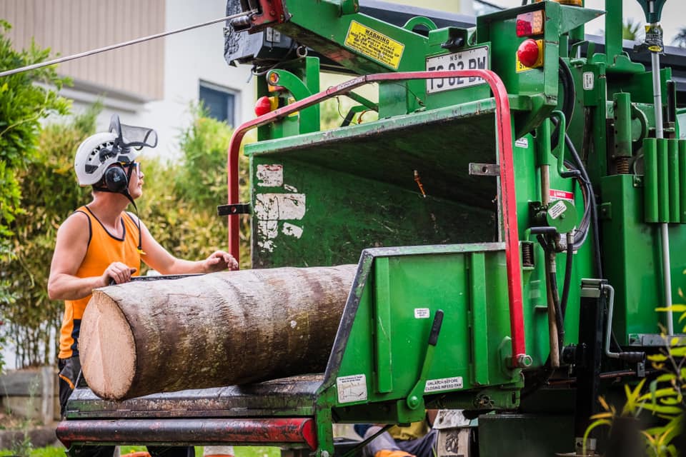 Wood Log — Martins Ville, NSW — Beaus Tree Service