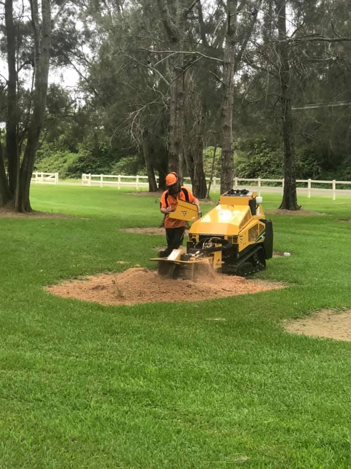 Stump Grinding — Martins Ville, NSW — Beaus Tree Service