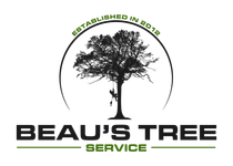 Beaus Tree Service Beaus Tree Service