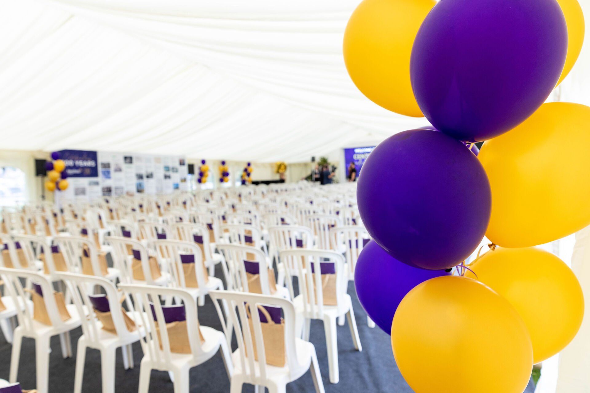 White chairs arranged in rows inside a white tent, with purple and yellow balloons in the foreground.