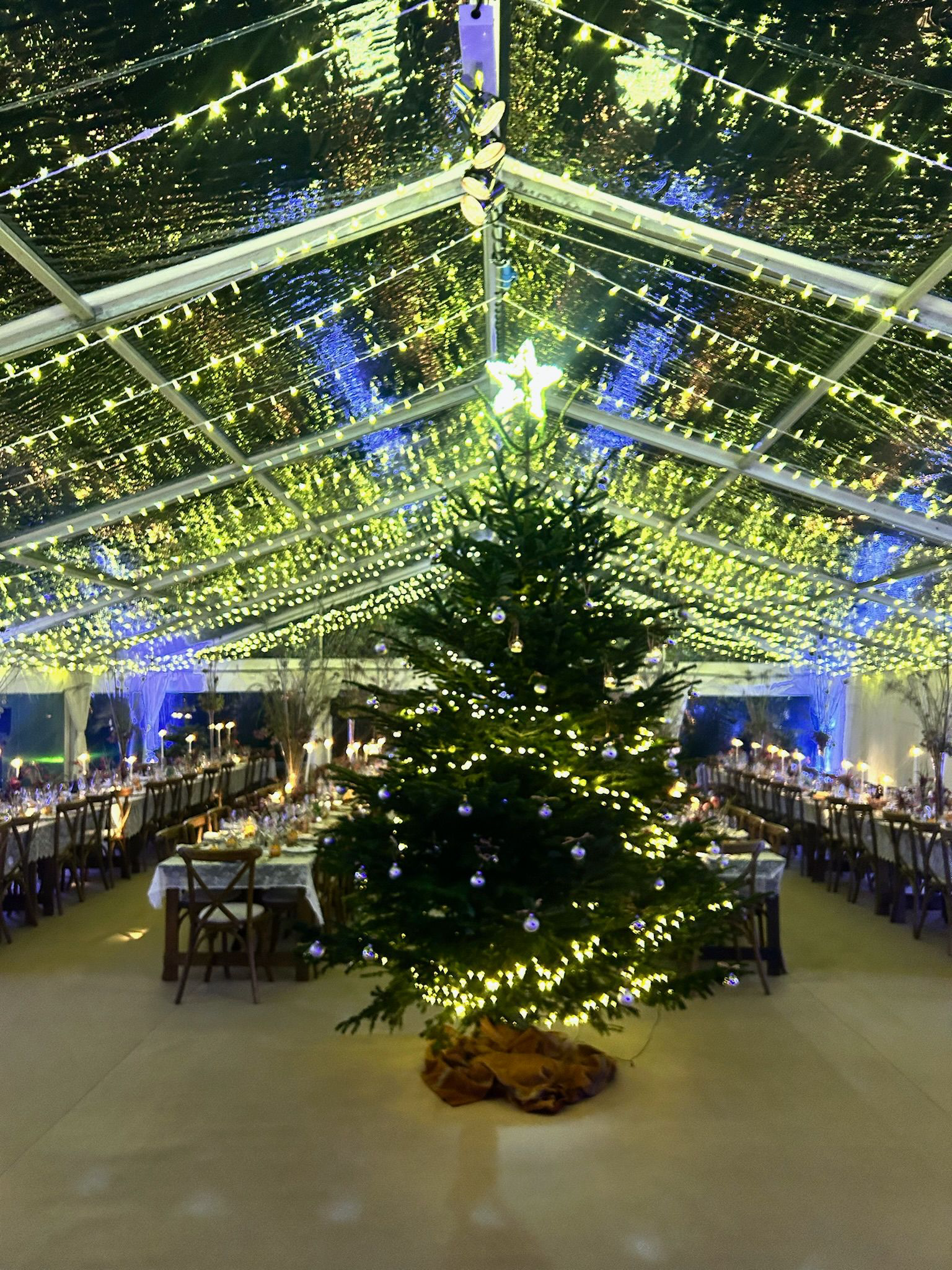 Christmas tree in a decorated tent, tables set for dining, string lights overhead.