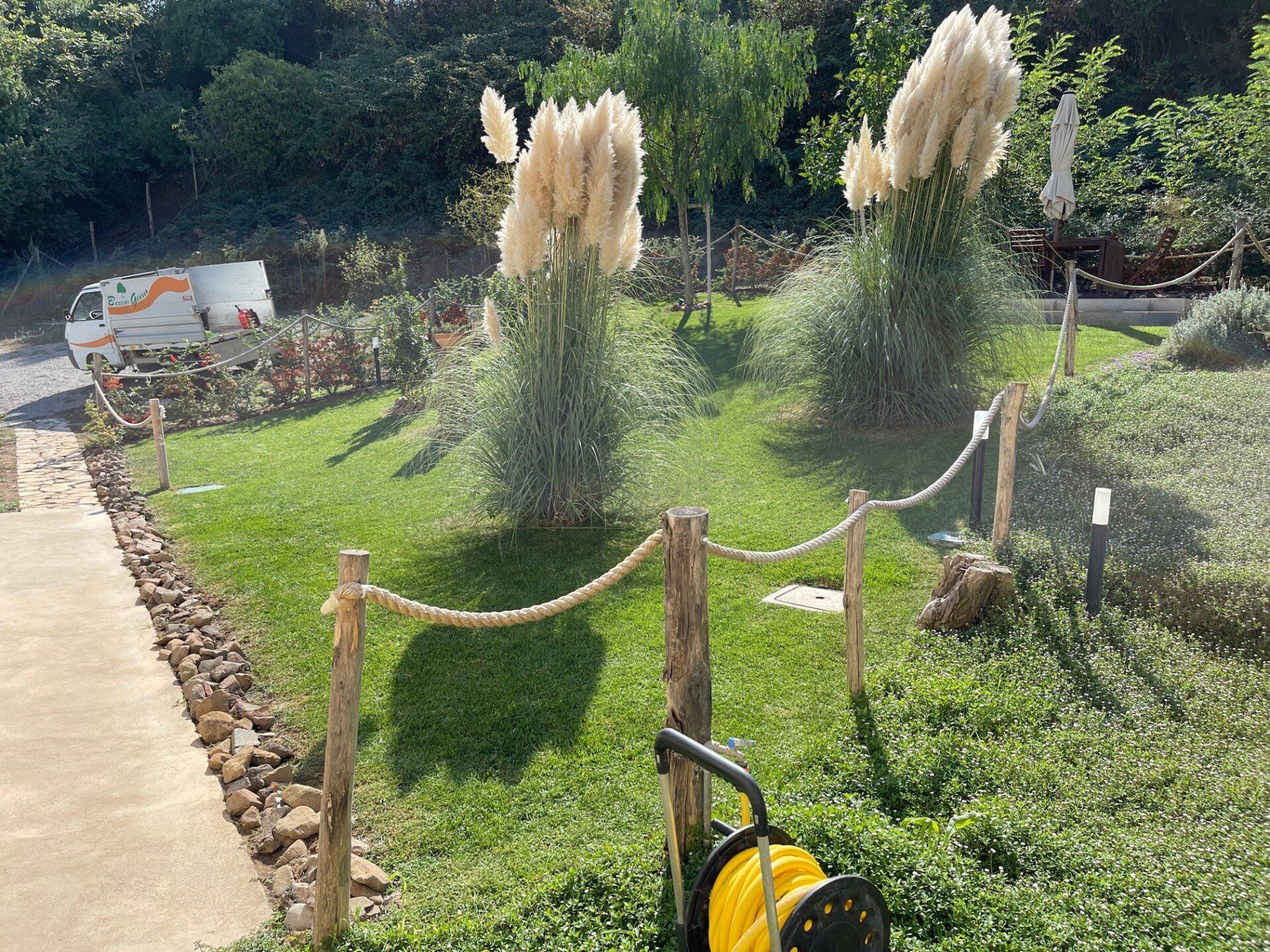 Un prato verde con due piante di erba della pampa, separato da un sentiero di cemento da una recinzione decorativa in corda con pali.