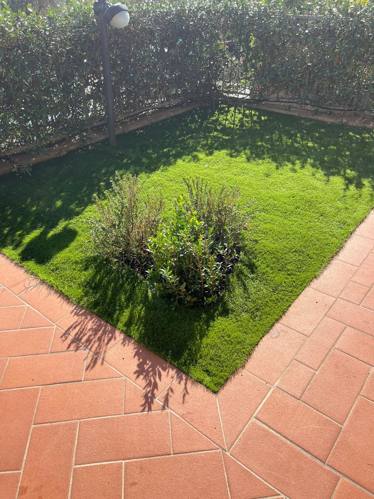 Un piccolo appezzamento di prato verde con un cespuglio al centro, incorniciato da un patio in mattoni rossi a spina di pesce e da un'alta siepe verde.