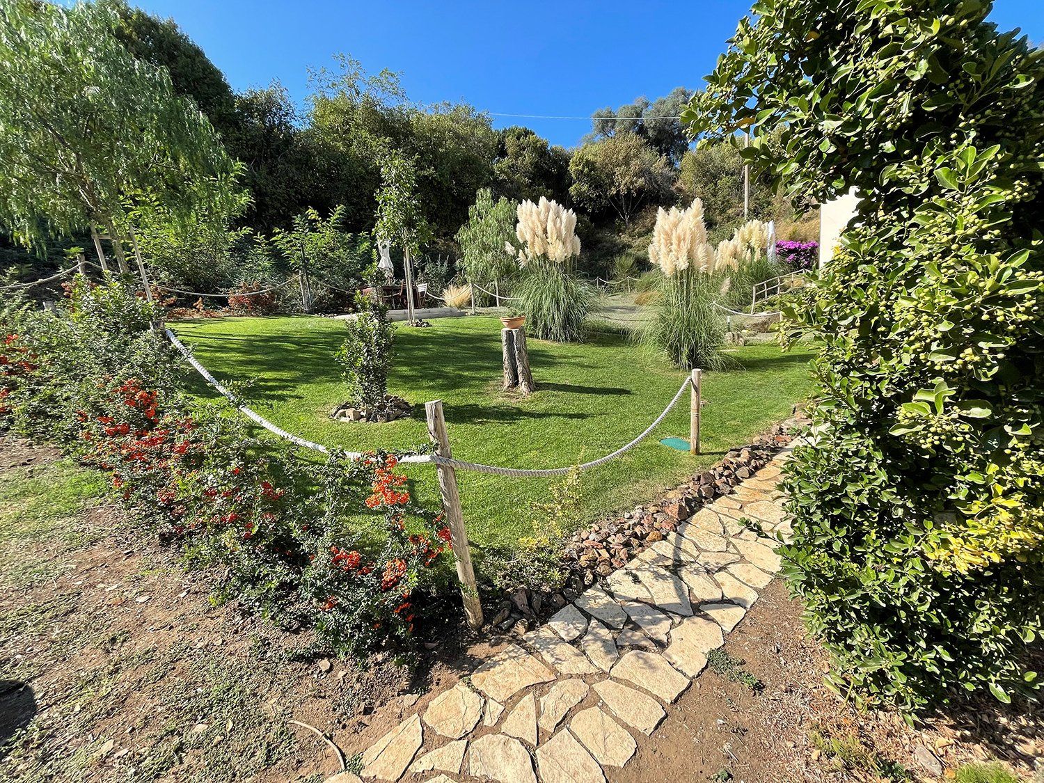Un giardino soleggiato con un sentiero di pietra, un prato erboso, cespugli ornamentali e alte erbe bianche, il tutto delimitato da una recinzione di corda.
