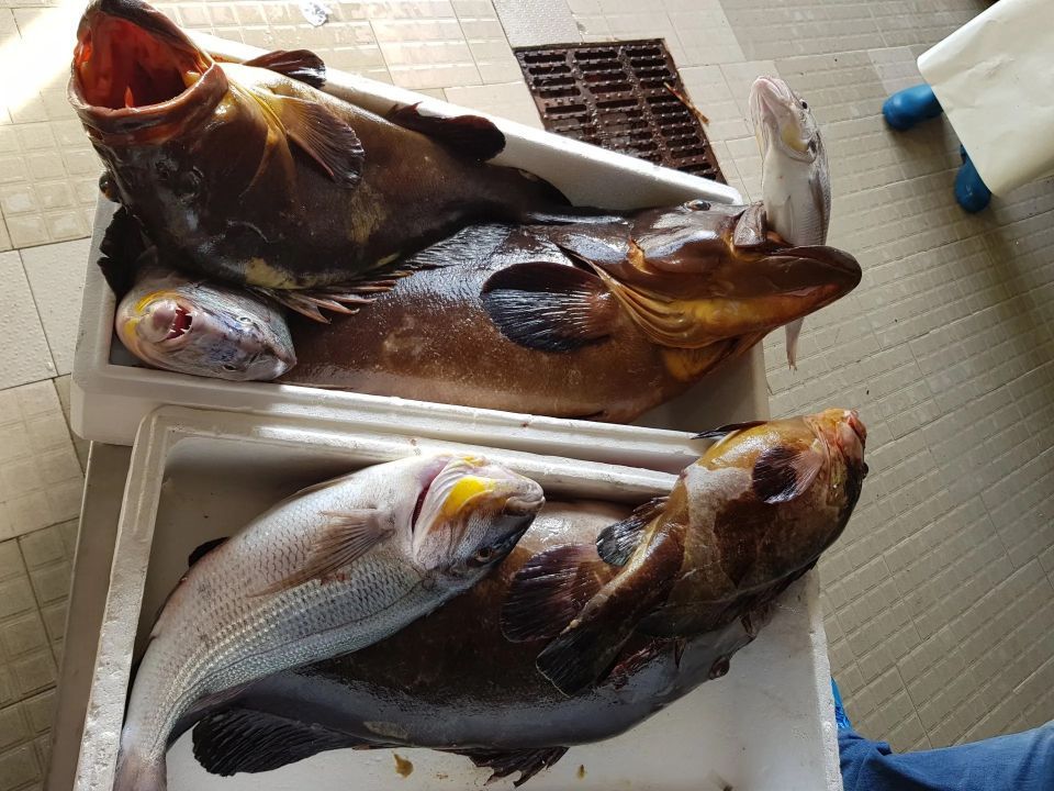 assortimento di pesce per zuppe