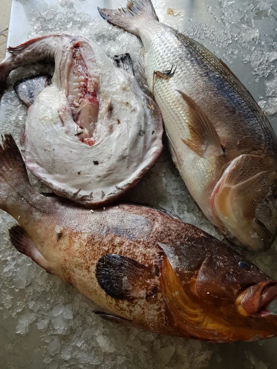 pesce per fritto misto