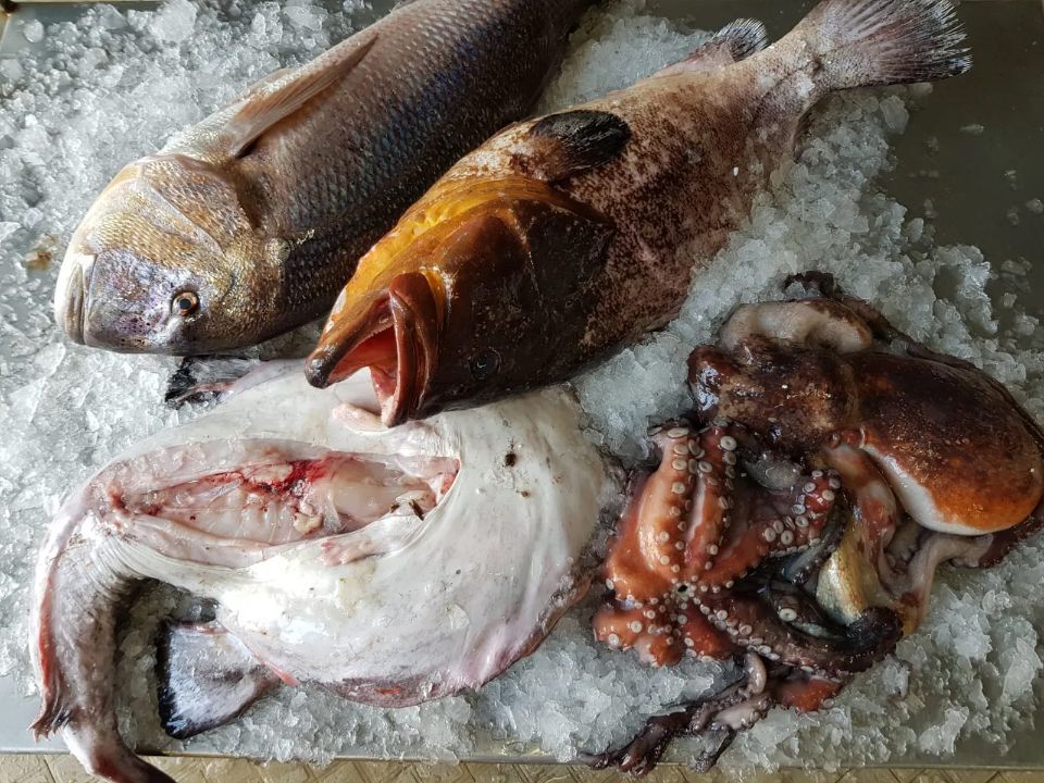 spigole e pesce spada