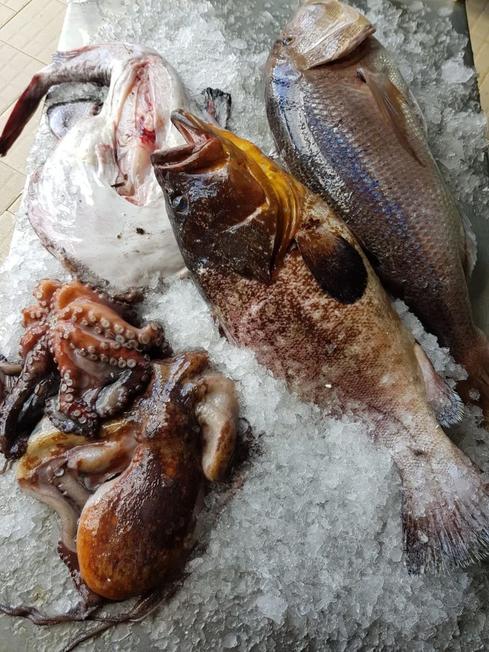 pesce per grigliata