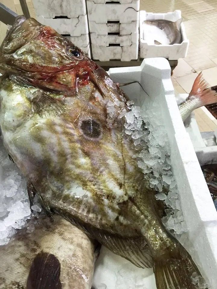 pesce per zuppa