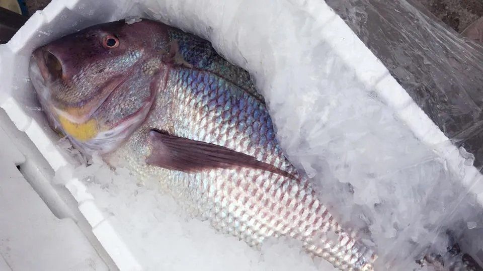 pesce sfilettato