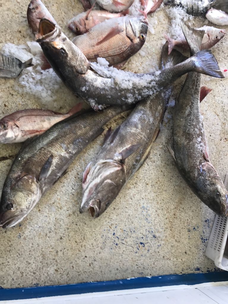 fresh fish