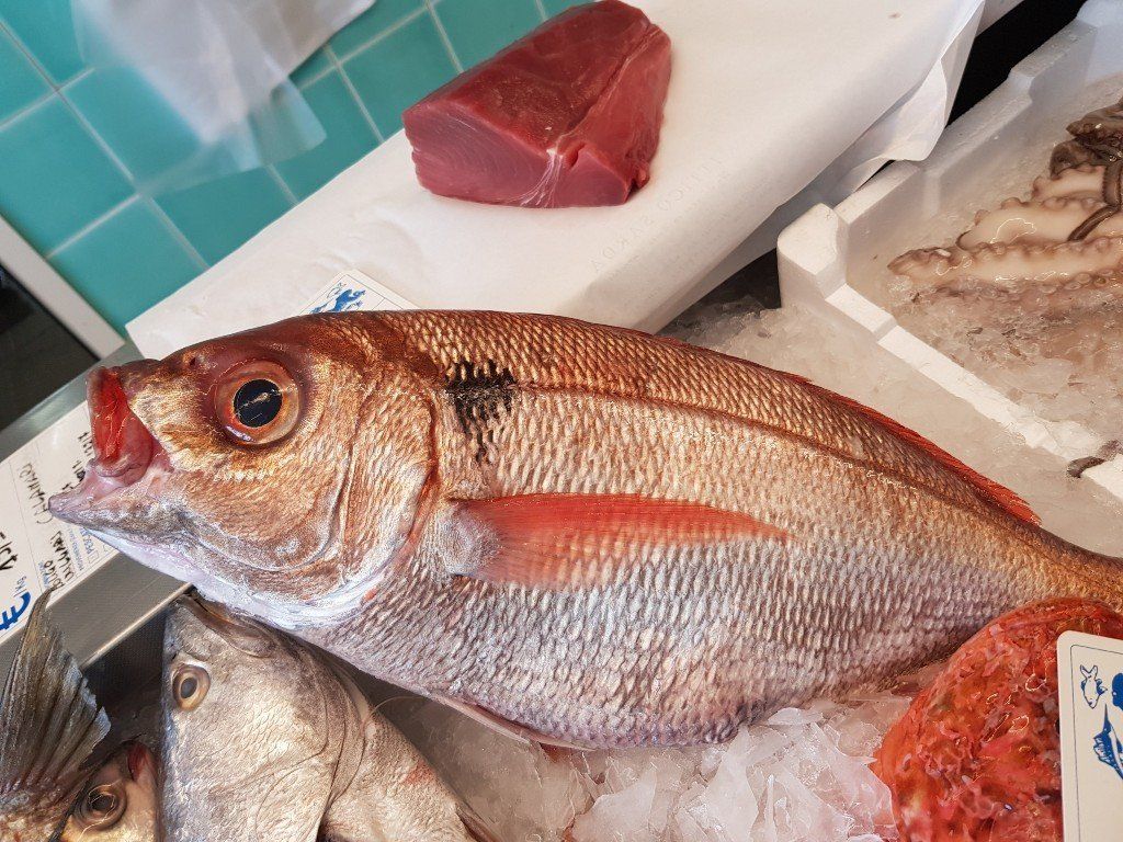 sea bream
