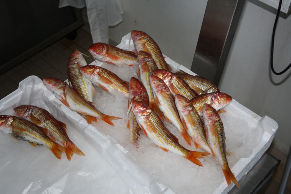 small fish for paranza
