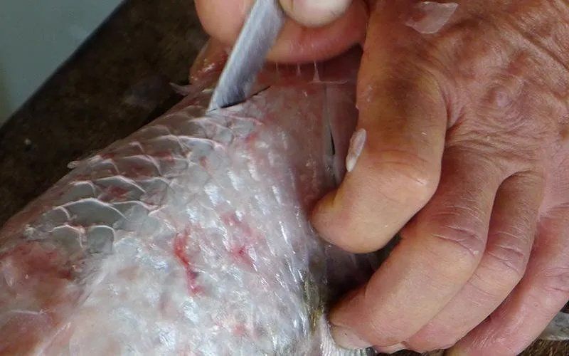 pulizia del pesce
