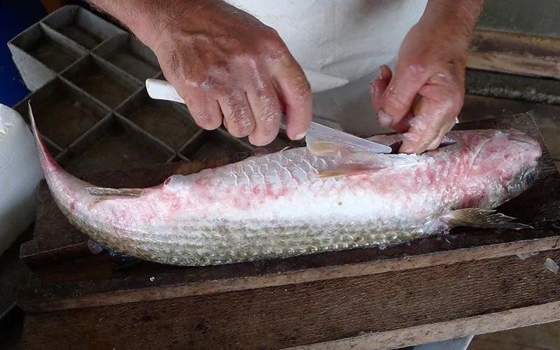 pulizia del tonno