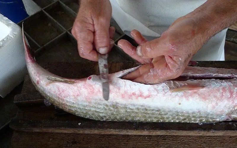 preparazione bottarga di tonno