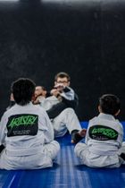 Artistry BJJ