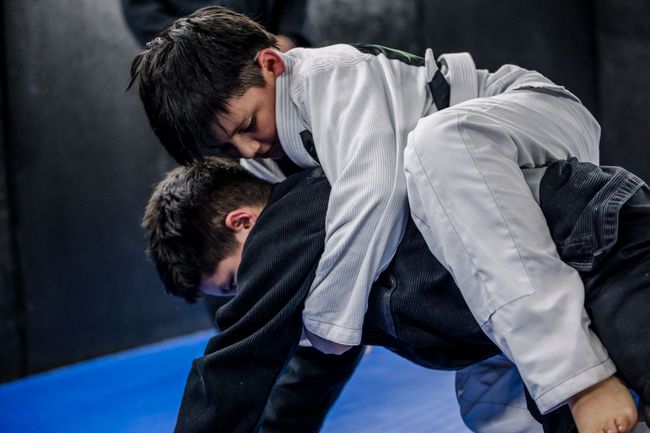 Artistry BJJ