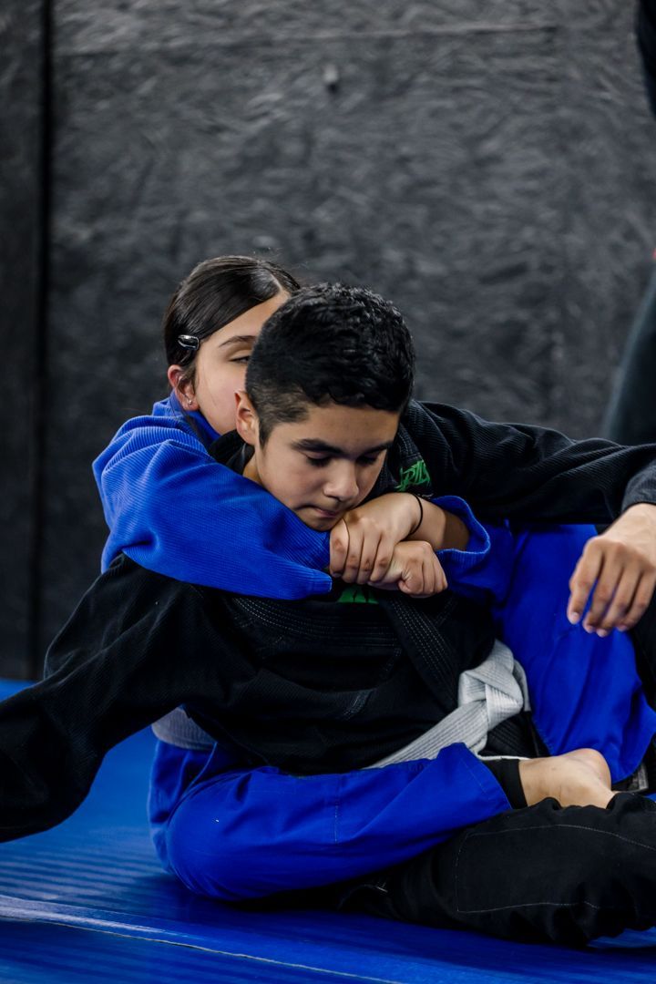 Artistry BJJ