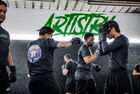 Artistry BJJ