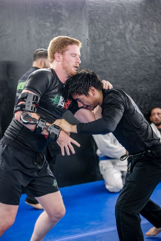 Artistry BJJ