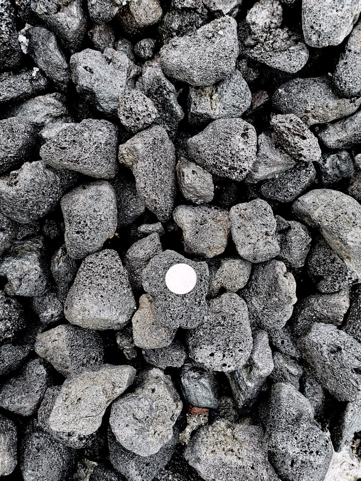 Decorative Gravels Nashville The Rock Place Nashville Landscaping Stone