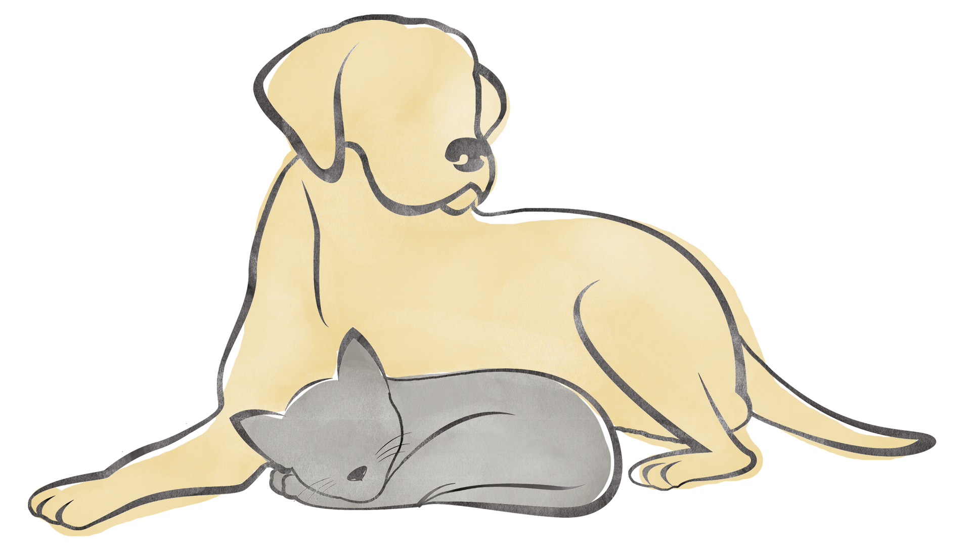 A tan dog sits beside a sleeping gray cat curled up against it
