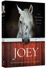 Book cover of a white horse peering over a red stall door, titled “Joey”