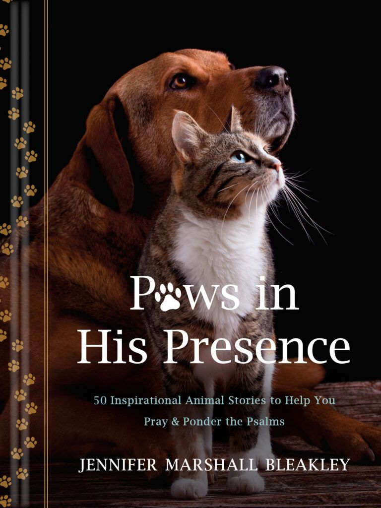 Book cover with a dog and cat against a dark background, titled “Paws in His Presence” by Jennifer Marshall Blakley