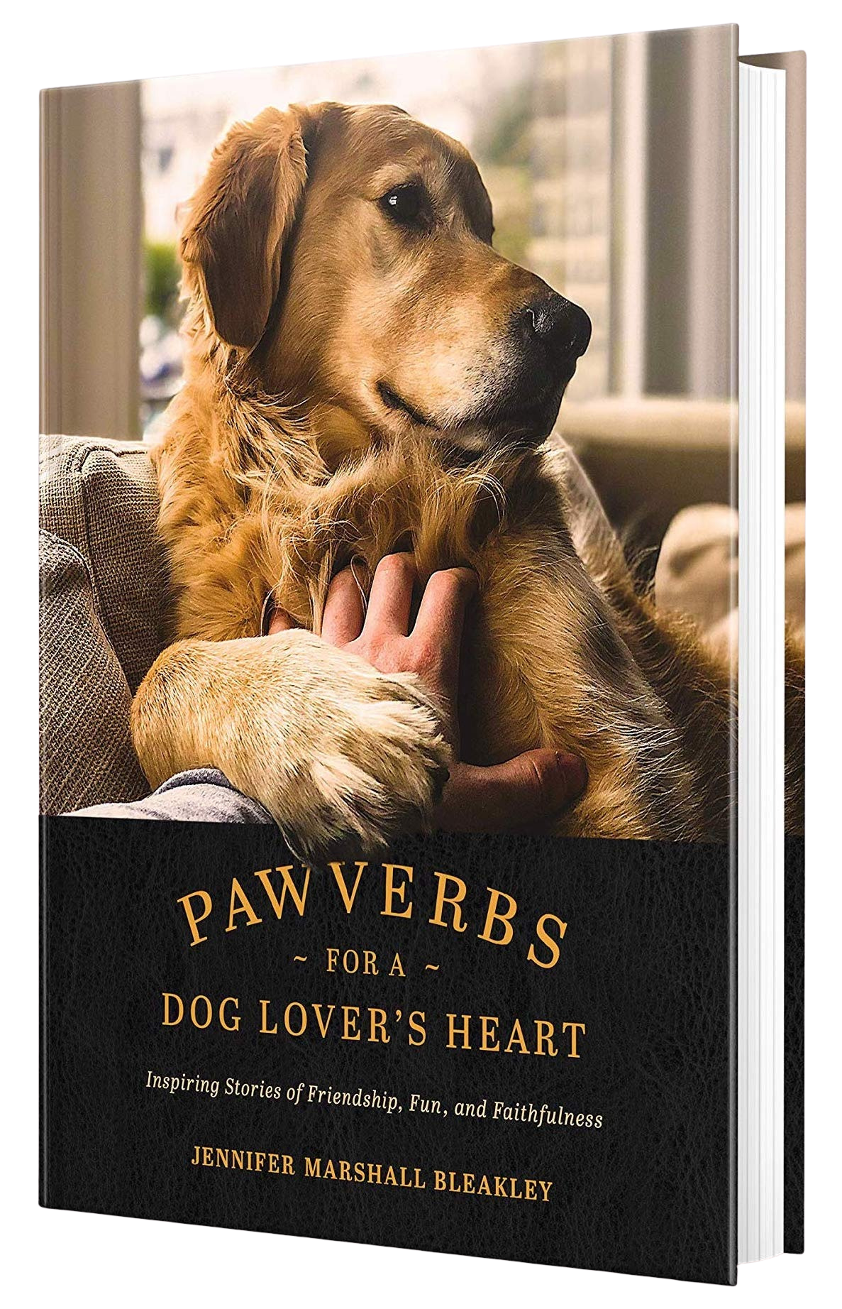 Book cover with a brown dog beside the title