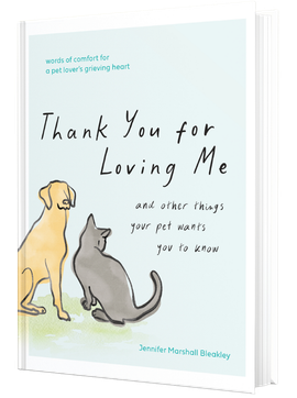 Book cover with a yellow dog and gray cat, titled “Thank You for Loving Me” on a pale blue background