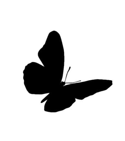 Black butterfly silhouette on a white background