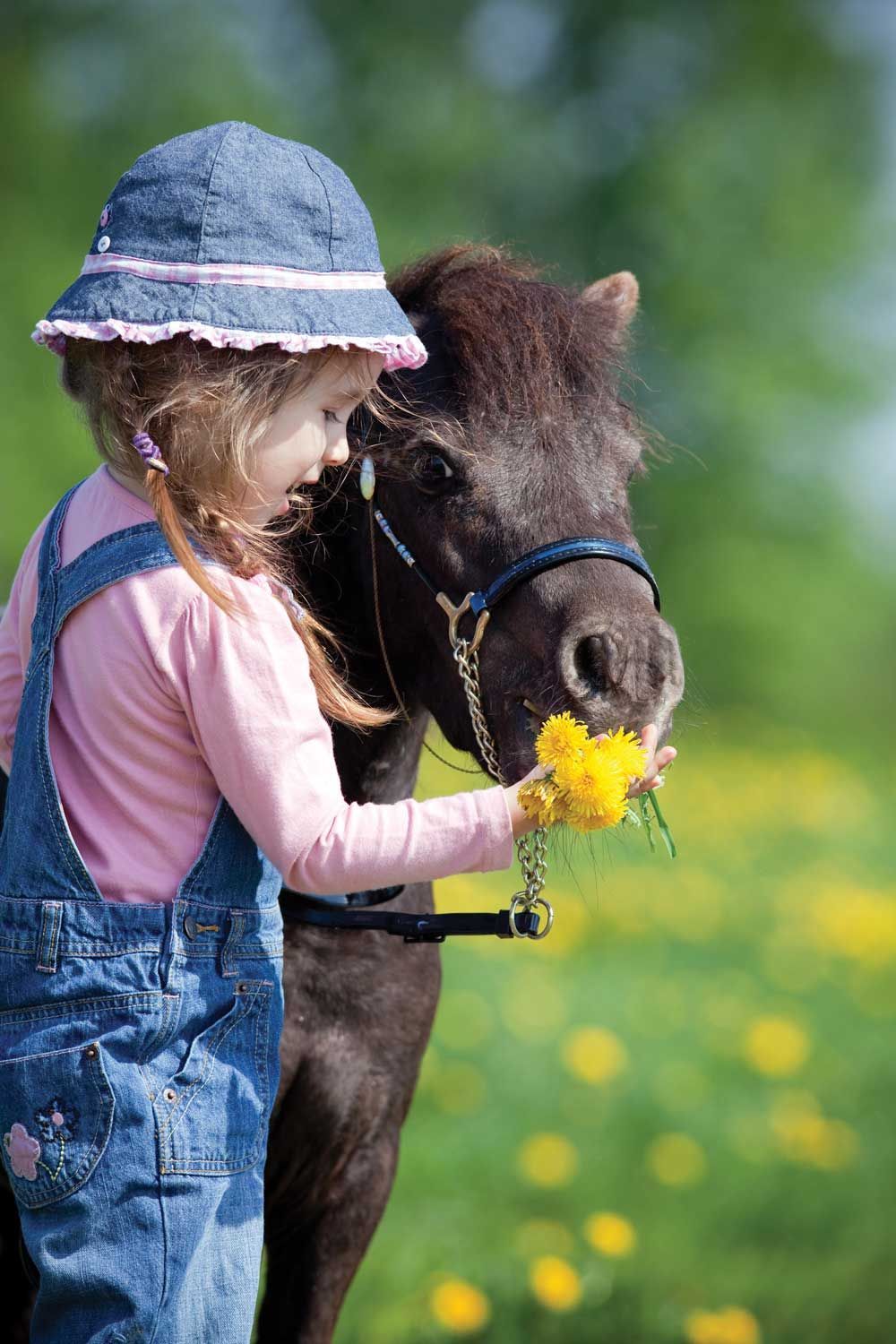 Child in blue hat and overalls gently holding a pony with yellow flowers in a green field.